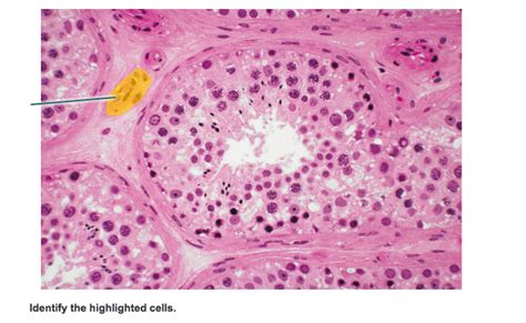 Next, head to the Home tab and the Editing section of the ribbon. . Identify the highlighted cell